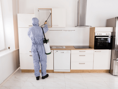 About Jupiter German Roach Pros - german roach extermination jupiter fl experts in Jupiter