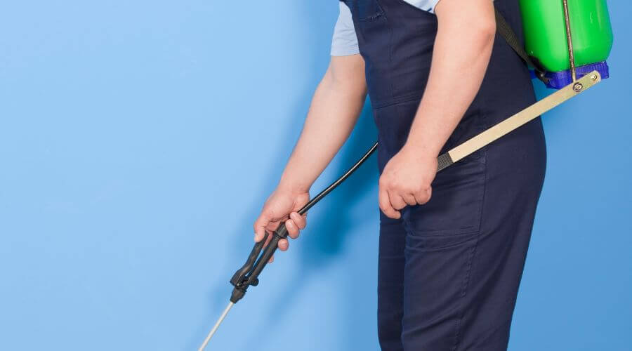 Why choose Jupiter German Roach Pros for german roach extermination jupiter fl in Jupiter